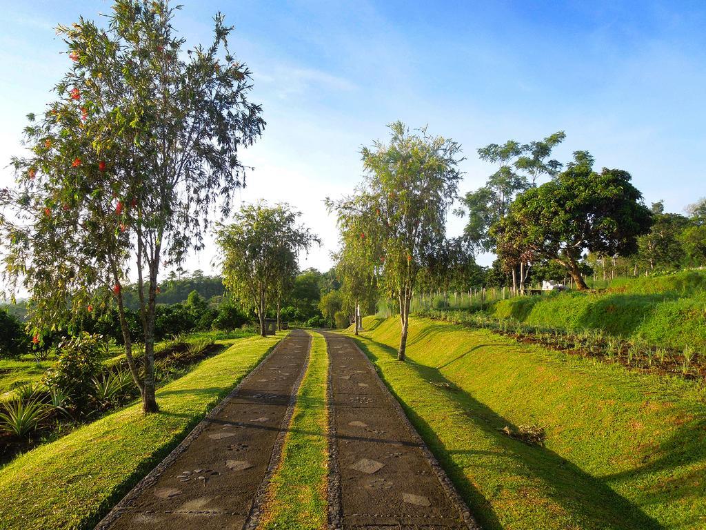 Hotel Bagus Agro Pelaga à Plaga Extérieur photo