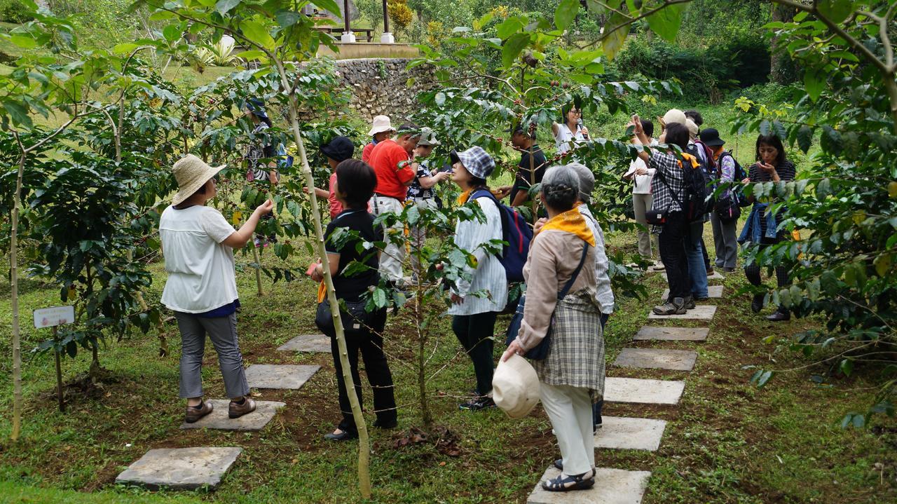 Hotel Bagus Agro Pelaga à Plaga Extérieur photo